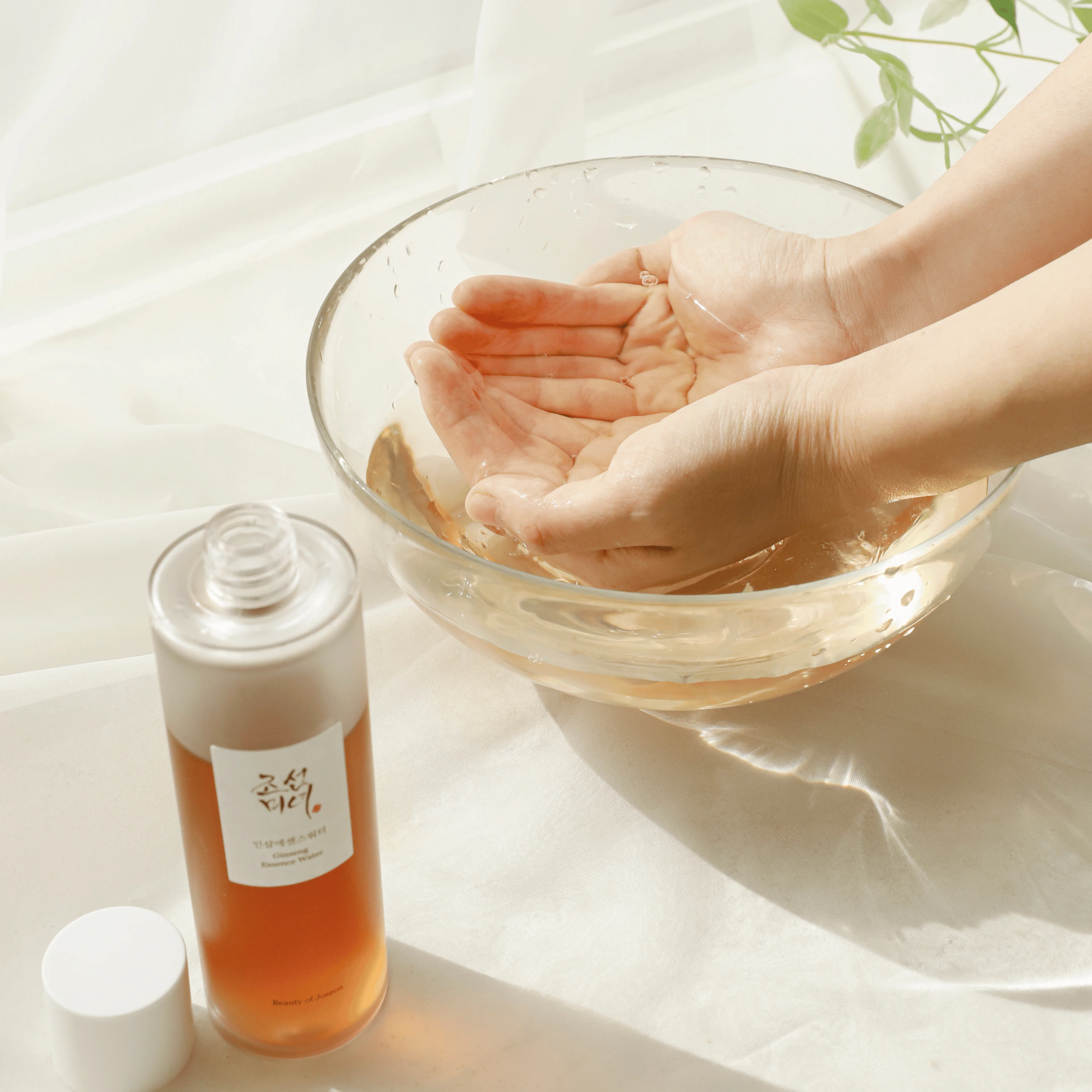 Ginseng Essence Water